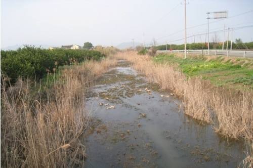 Necessity of river dredging