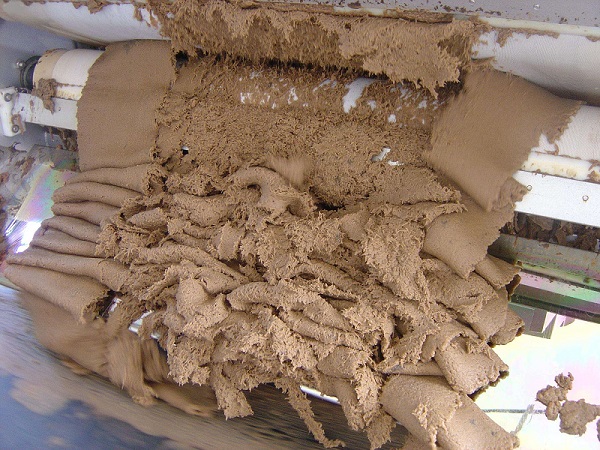 Mud cake discharged from filter press